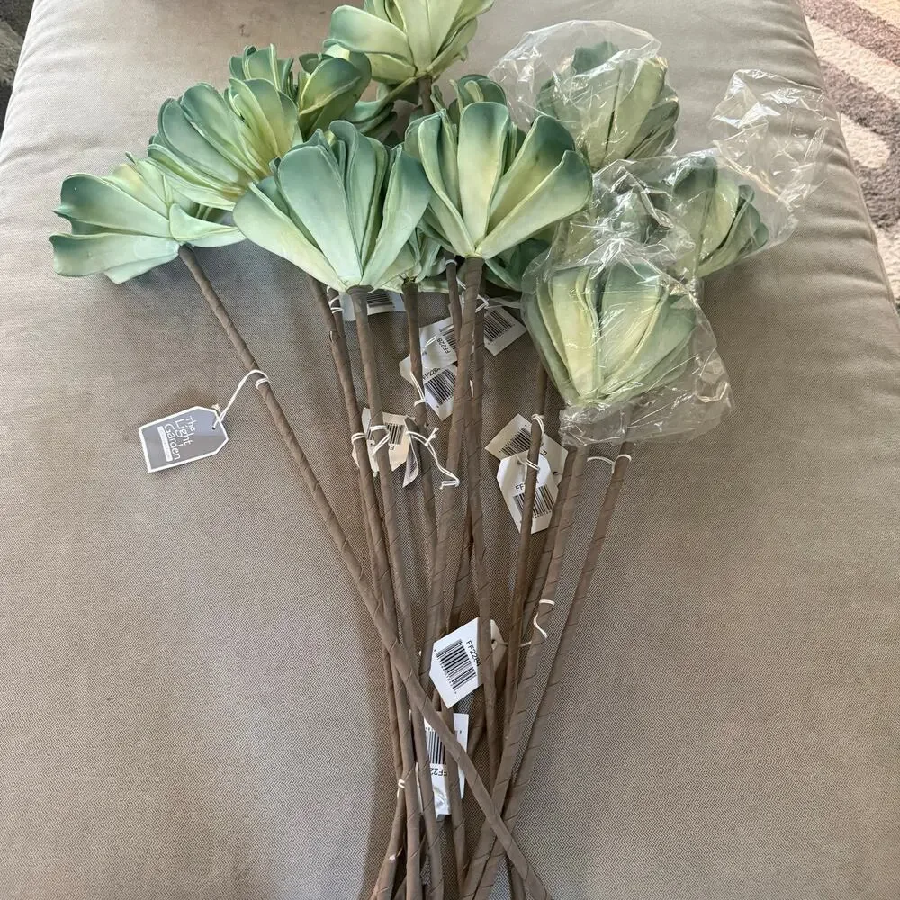 The Light Garden Collection lot 10